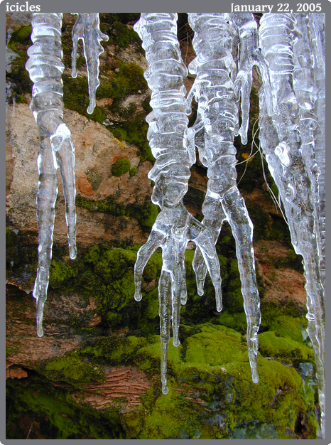 icicles, taken 2005-01-22 || NIKON E950 | 7.2 | 1/64s @ f/4.4