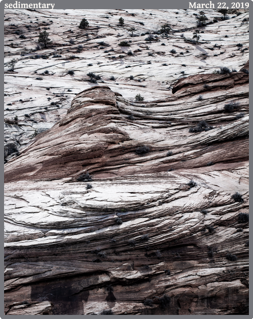 sedimentary, taken 2019-03-22 || Canon Canon EOS REBEL T2i | 100mm | 1/80s @ f/2.8