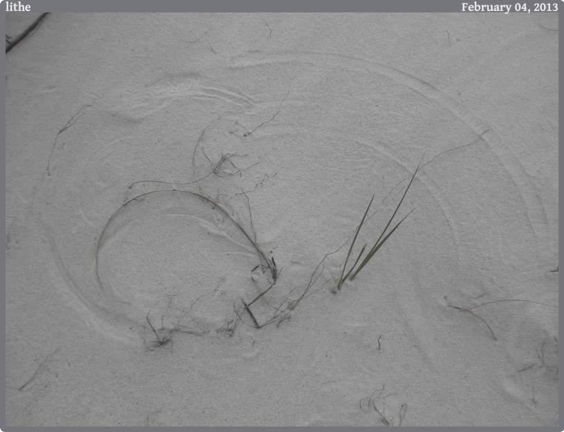lithe, taken 2013-02-04 || OLYMPUS IMAGING CORP u7010,S7010 | 50mm | 1/250s @ f/8.5