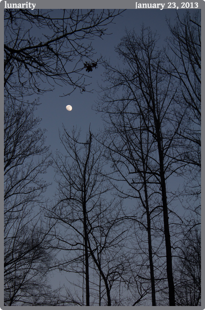 lunarity, taken 2013-01-23 || Canon Canon EOS REBEL T2i | 55mm | 1/320s @ f/6.3