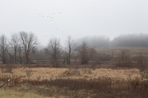 blog photo titled demanding