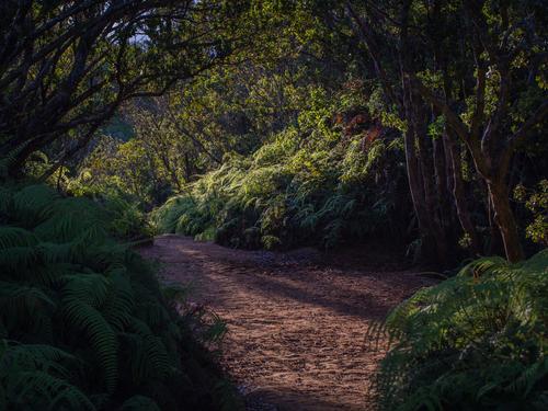 blog photo titled realm