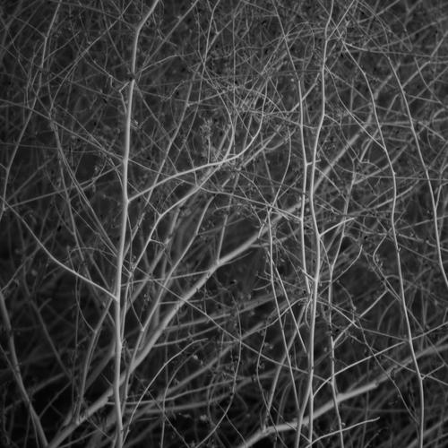 blog photo titled bushel