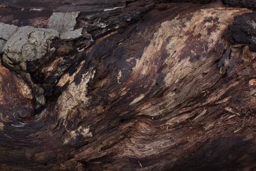 blog photo titled perception