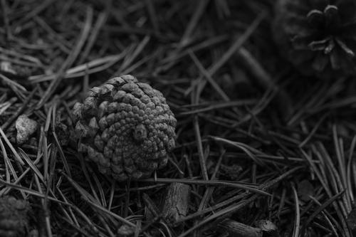 blog photo titled contain