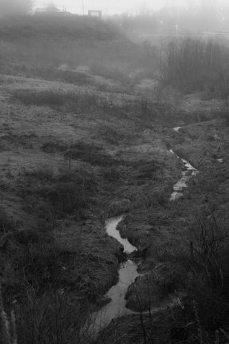 blog photo titled livid