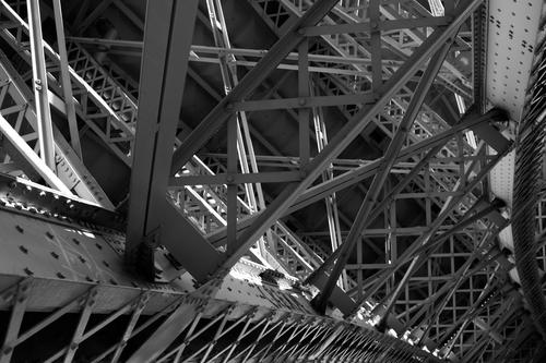 blog photo titled lefty