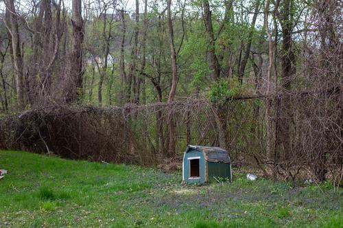 blog photo titled defensive