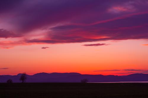 blog photo titled limited