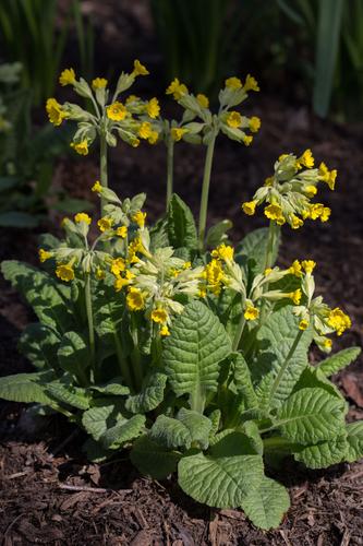 blog photo titled violence