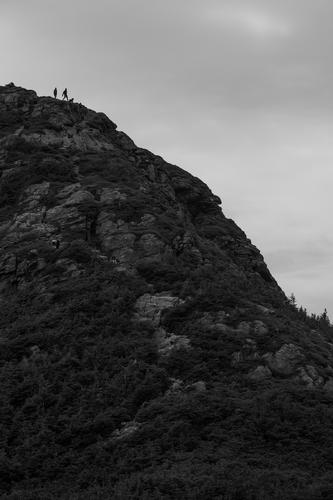 blog photo titled chin