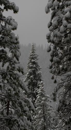 blog photo titled lidless
