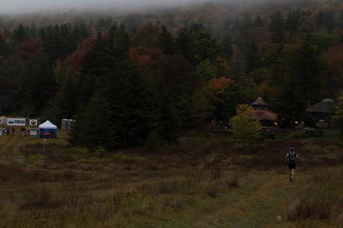 blog photo titled dactylogram