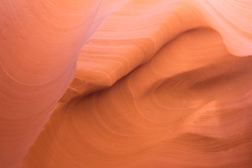 blog photo titled naturale
