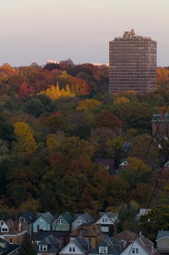 blog photo titled morningside