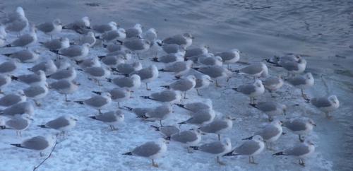 blog photo titled disruption