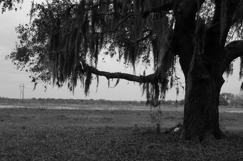 blog photo titled hangers