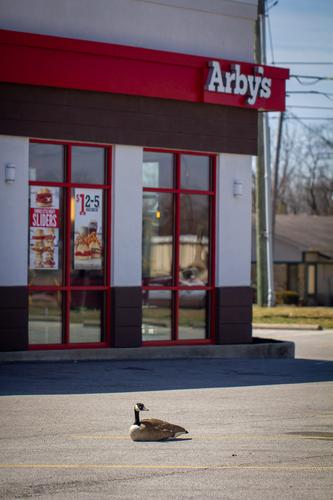 blog photo titled arby