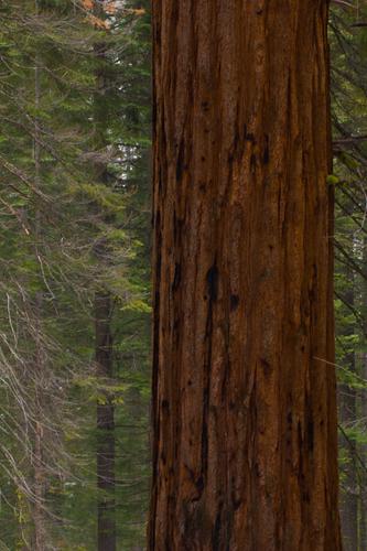 blog photo titled positivity