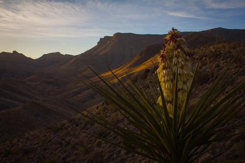 blog photo titled immersion