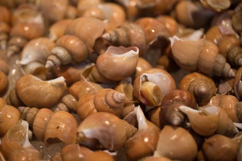 blog photo titled tastes