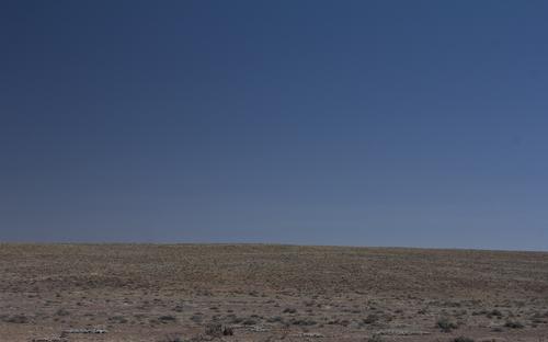 blog photo titled bleak