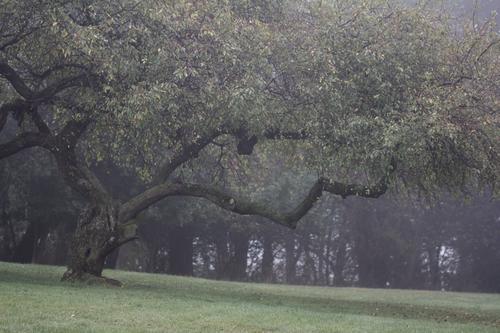 blog photo titled closure