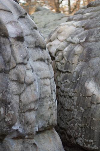 blog photo titled bum