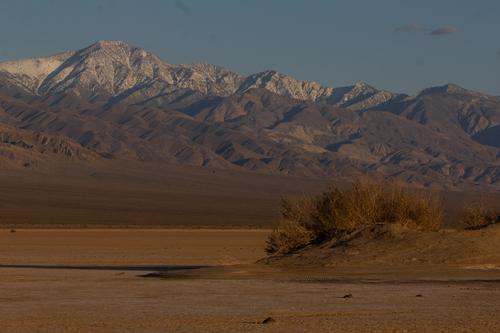 blog photo titled backfore