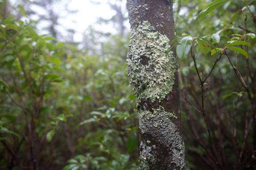 blog photo titled drenching