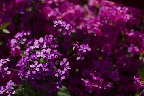 blog photo titled weariness