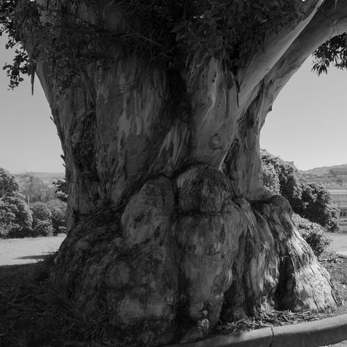 blog photo titled fleeting