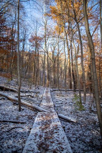 blog photo titled locker