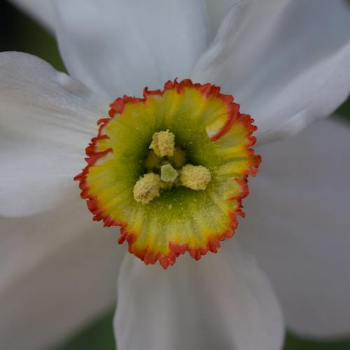 blog photo titled recompense