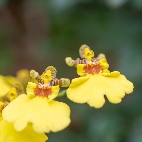 blog photo titled hold