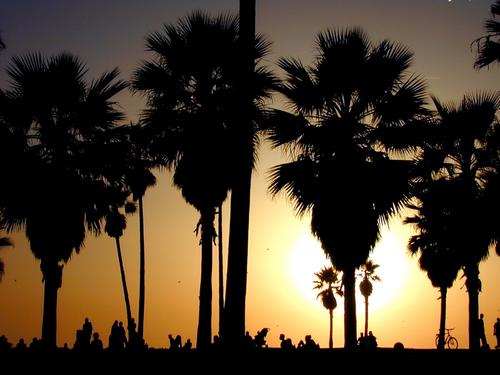 blog photo titled touchdown