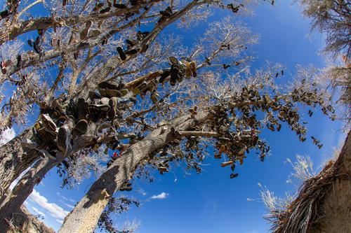 blog photo titled overloaded