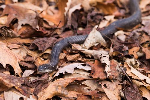 blog photo titled january