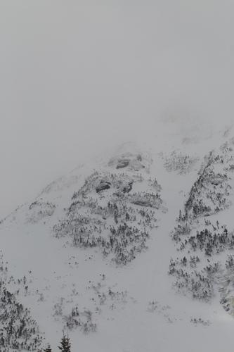 blog photo titled scrutate