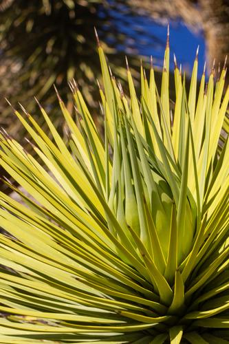 blog photo titled enclosing