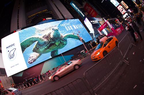 blog photo titled gigantic