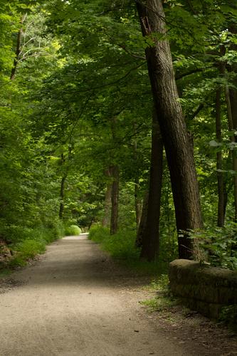 blog photo titled sneaky