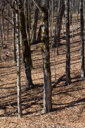 blog photo titled weft