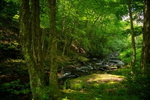 blog photo titled interruptious