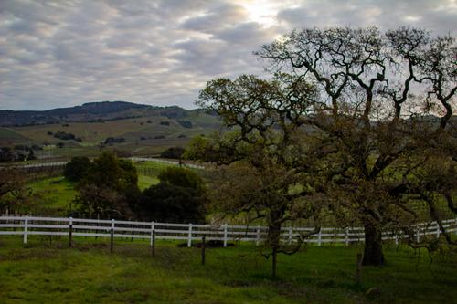 blog photo titled napa