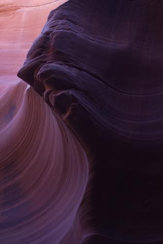 blog photo titled spirit