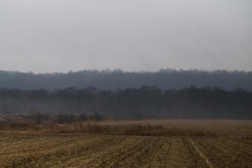 blog photo titled rusty