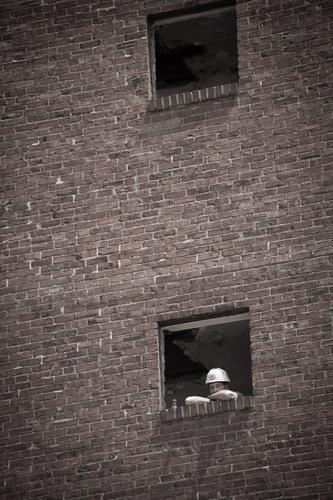 blog photo titled jubilation