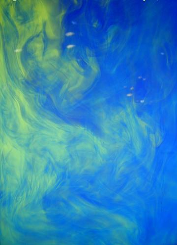 blog photo titled integration