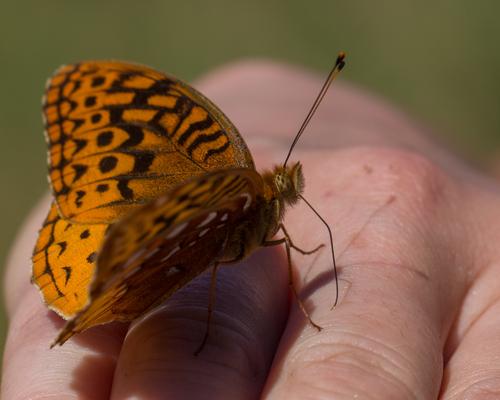 blog photo titled serendipity